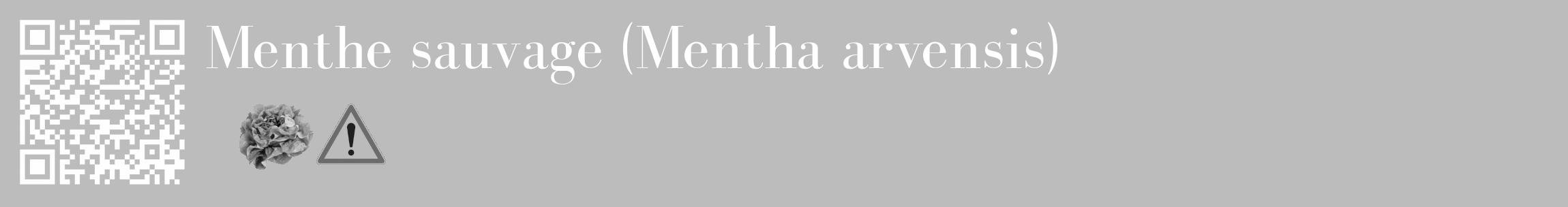 Étiquette de : Mentha arvensis - format c - style blanche1_basique_basiquebod avec qrcode et comestibilité simplifiée