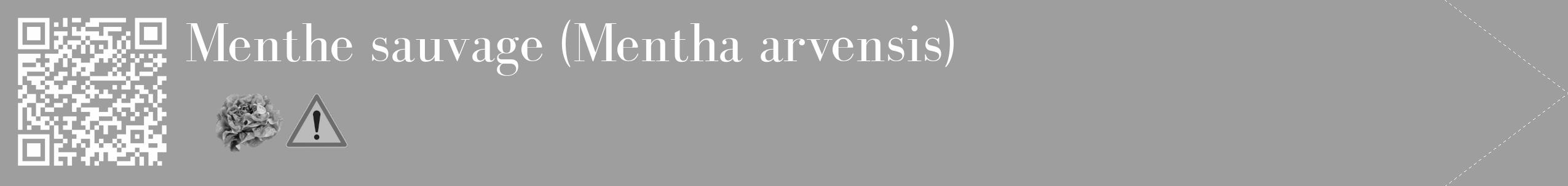 Étiquette de : Mentha arvensis - format c - style blanche23_simple_simplebod avec qrcode et comestibilité simplifiée