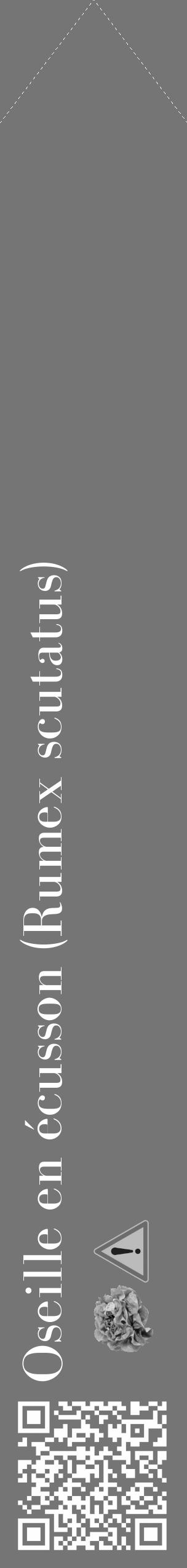 Étiquette de : Rumex scutatus - format c - style blanche5_simple_simplebod avec qrcode et comestibilité simplifiée - position verticale