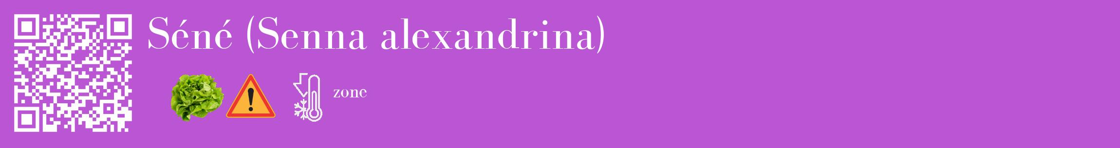 Étiquette de : Senna alexandrina - format c - style blanche50_basique_basiquebod avec qrcode et comestibilité simplifiée