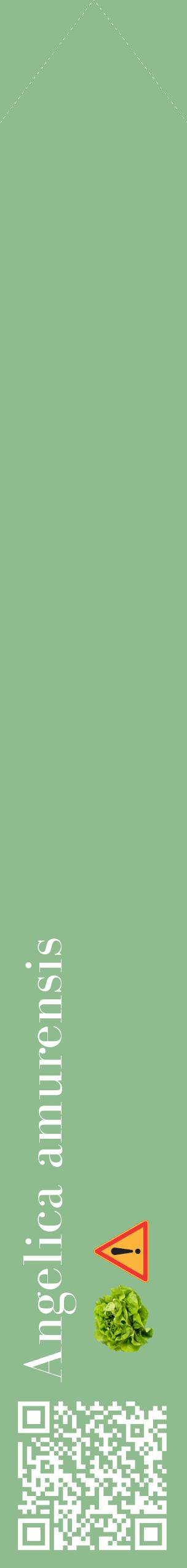 Étiquette de : Angelica amurensis - format c - style blanche13_simplebod avec qrcode et comestibilité simplifiée