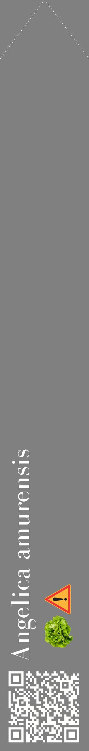 Étiquette de : Angelica amurensis - format c - style blanche57_simplebod avec qrcode et comestibilité simplifiée