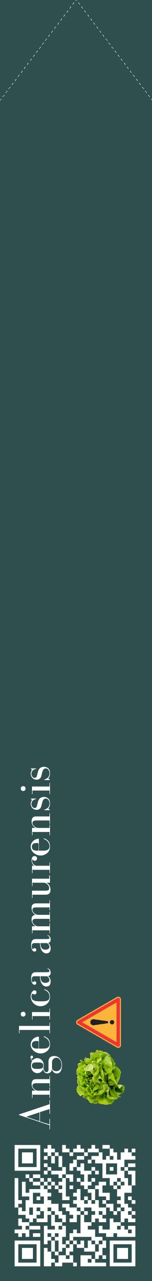 Étiquette de : Angelica amurensis - format c - style blanche58_simplebod avec qrcode et comestibilité simplifiée
