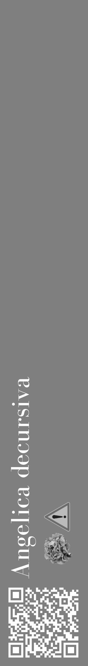 Étiquette de : Angelica decursiva - format c - style blanche57_basique_basiquebod avec qrcode et comestibilité simplifiée - position verticale