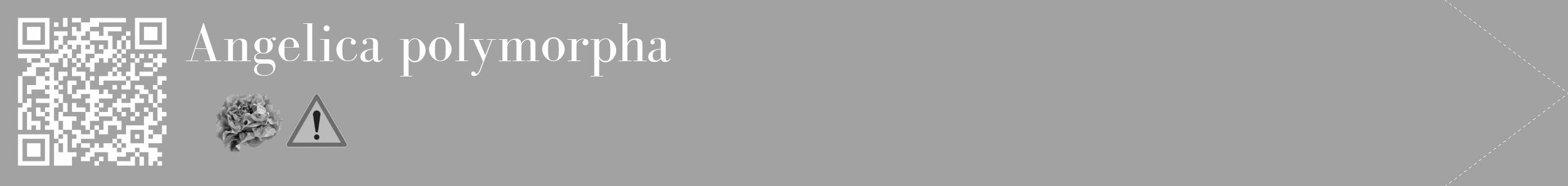Étiquette de : Angelica polymorpha - format c - style blanche38_simple_simplebod avec qrcode et comestibilité simplifiée