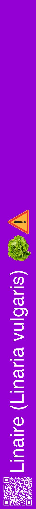Étiquette de : Linaria vulgaris - format a - style blanche48hel avec qrcode et comestibilité simplifiée