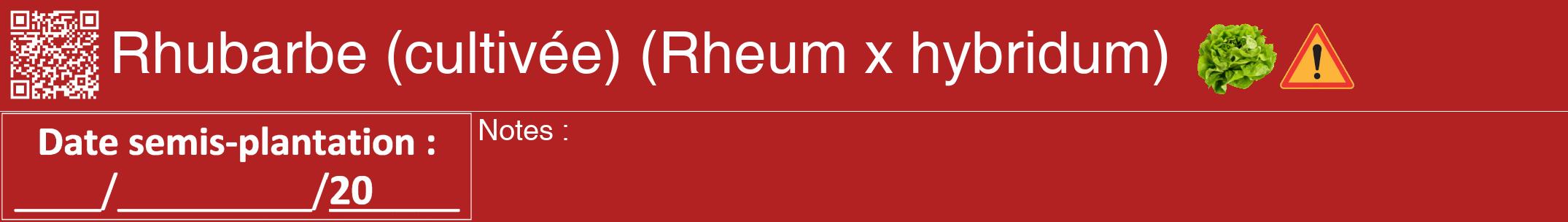 Étiquette de : Rheum x hybridum - format a - style blanche28hel avec qrcode et comestibilité simplifiée