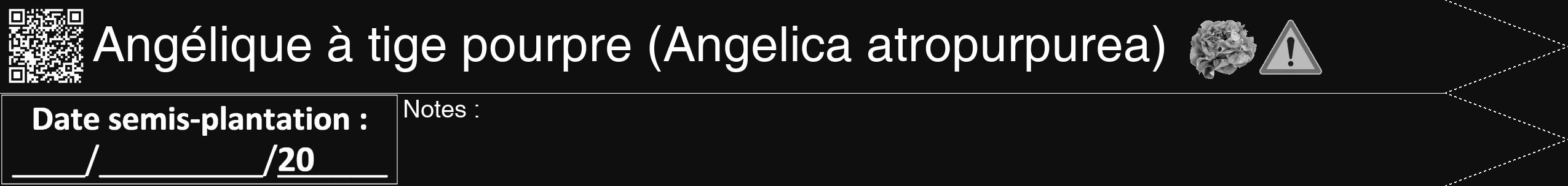 Étiquette de : Angelica atropurpurea - format b - style blanche7simplehel avec qrcode et comestibilité simplifiée