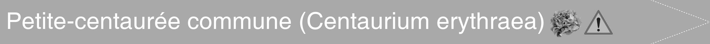 Étiquette de : Centaurium erythraea - format b - style blanche13hel avec comestibilité simplifiée