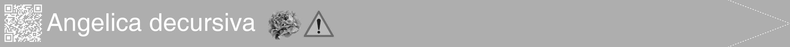 Étiquette de : Angelica decursiva - format b - style blanche53hel avec qrcode et comestibilité simplifiée