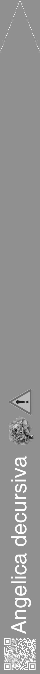 Étiquette de : Angelica decursiva - format b - style blanche4hel avec qrcode et comestibilité simplifiée - position verticale