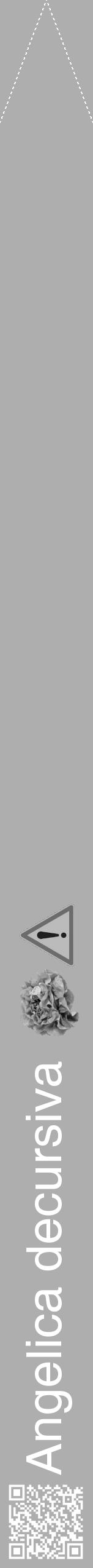 Étiquette de : Angelica decursiva - format b - style blanche53hel avec qrcode et comestibilité simplifiée - position verticale