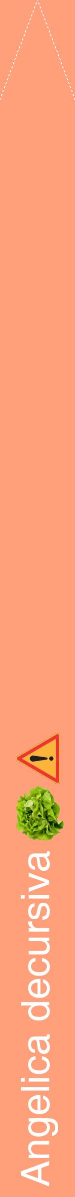 Étiquette de : Angelica decursiva - format b - style blanche39hel avec comestibilité simplifiée