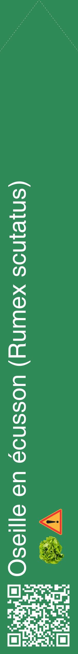 Étiquette de : Rumex scutatus - format c - style blanche11_simplehel avec qrcode et comestibilité simplifiée
