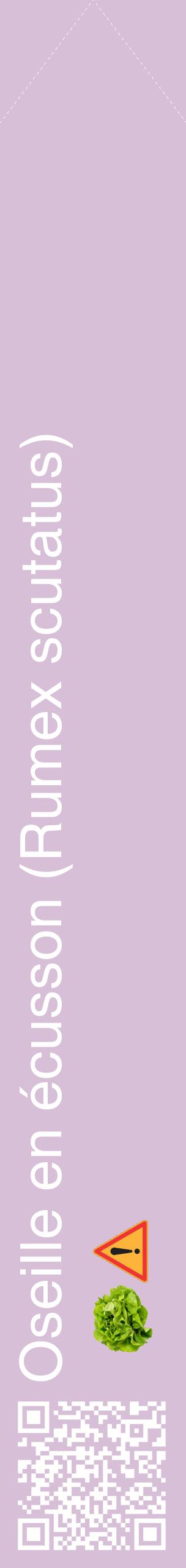 Étiquette de : Rumex scutatus - format c - style blanche54_simplehel avec qrcode et comestibilité simplifiée
