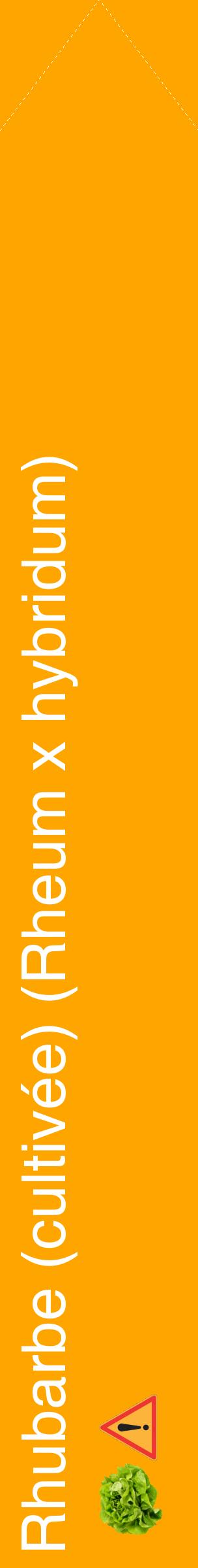 Étiquette de : Rheum x hybridum - format c - style blanche22_simplehel avec comestibilité simplifiée