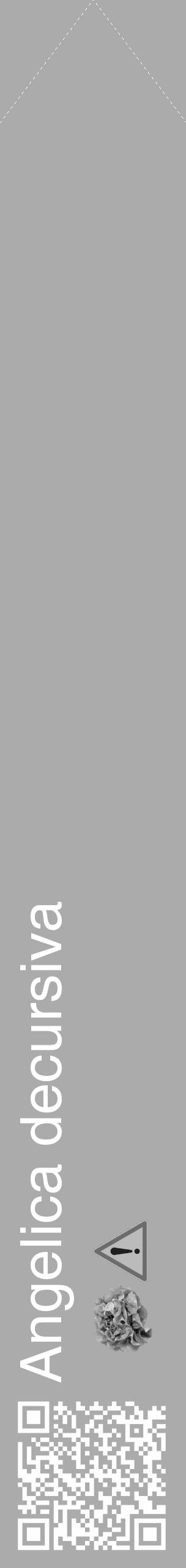 Étiquette de : Angelica decursiva - format c - style blanche37_simple_simplehel avec qrcode et comestibilité simplifiée - position verticale