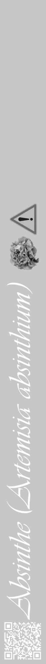 Étiquette de : Artemisia absinthium - format a - style blanche15viv avec qrcode et comestibilité simplifiée - position verticale