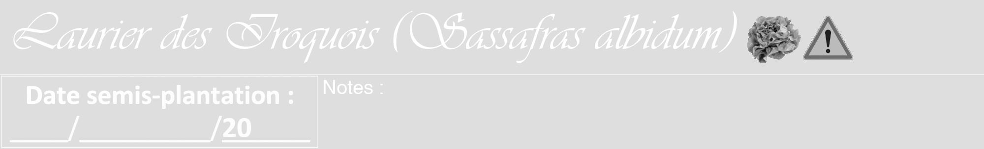 Étiquette de : Sassafras albidum - format a - style blanche20viv avec comestibilité simplifiée