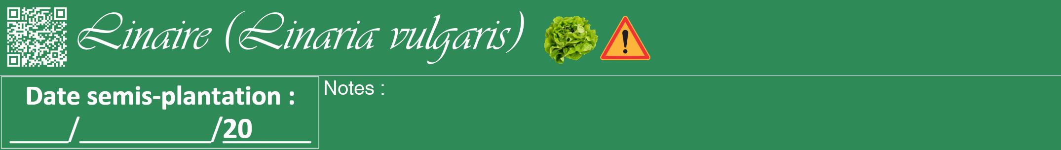 Étiquette de : Linaria vulgaris - format a - style blanche11viv avec qrcode et comestibilité simplifiée