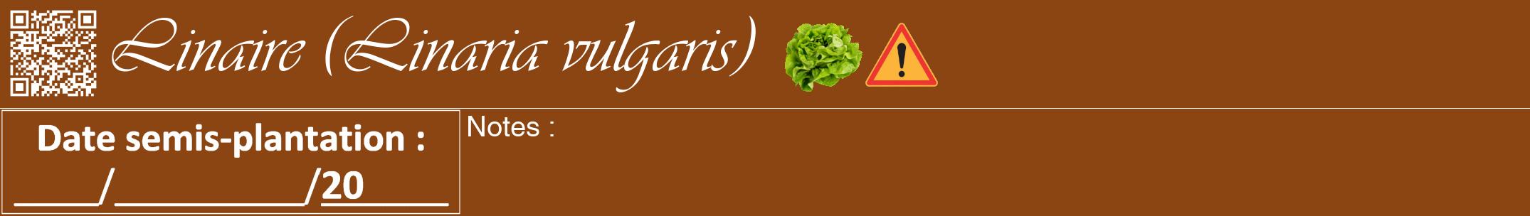 Étiquette de : Linaria vulgaris - format a - style blanche30viv avec qrcode et comestibilité simplifiée