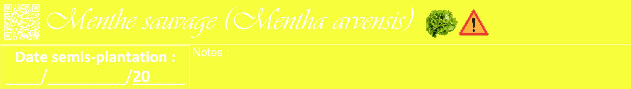 Étiquette de : Mentha arvensis - format a - style blanche18viv avec qrcode et comestibilité simplifiée