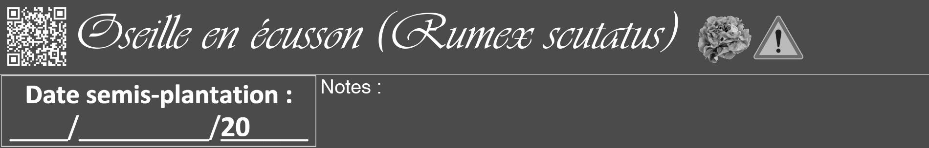 Étiquette de : Rumex scutatus - format a - style blanche9basiqueviv avec qrcode et comestibilité simplifiée
