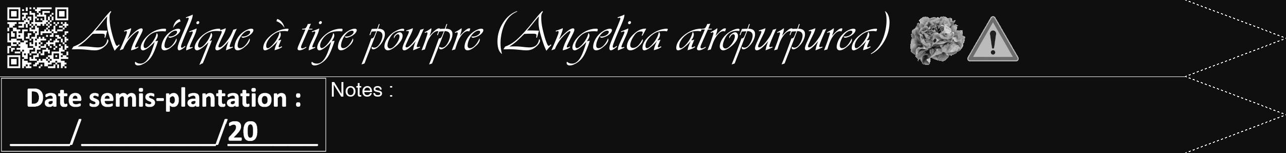 Étiquette de : Angelica atropurpurea - format b - style blanche7simpleviv avec qrcode et comestibilité simplifiée