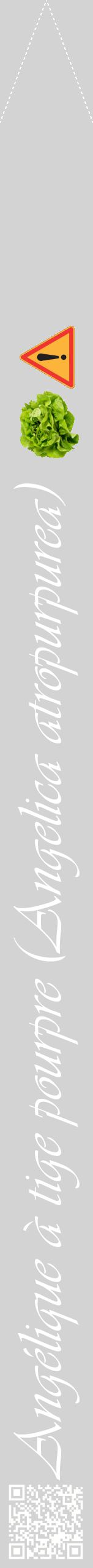 Étiquette de : Angelica atropurpurea - format b - style blanche56viv avec qrcode et comestibilité simplifiée
