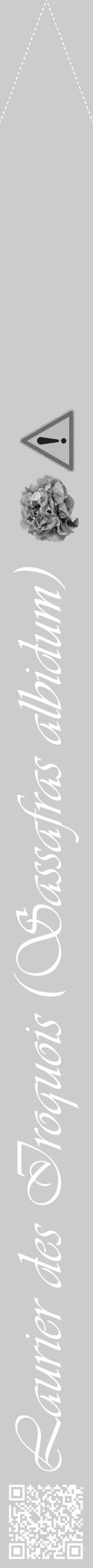Étiquette de : Sassafras albidum - format b - style blanche0viv avec qrcode et comestibilité simplifiée - position verticale