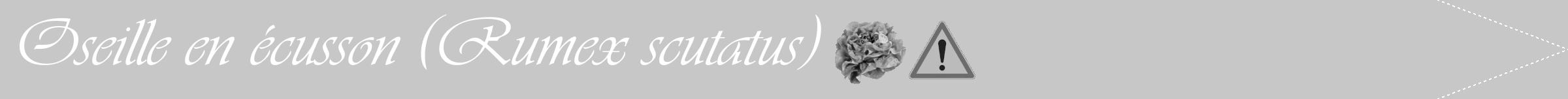 Étiquette de : Rumex scutatus - format b - style blanche15viv avec comestibilité simplifiée