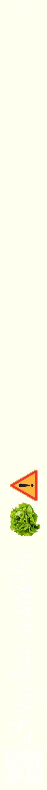 Étiquette de : Angelica acutiloba - format b - style blanche19viv avec qrcode et comestibilité simplifiée