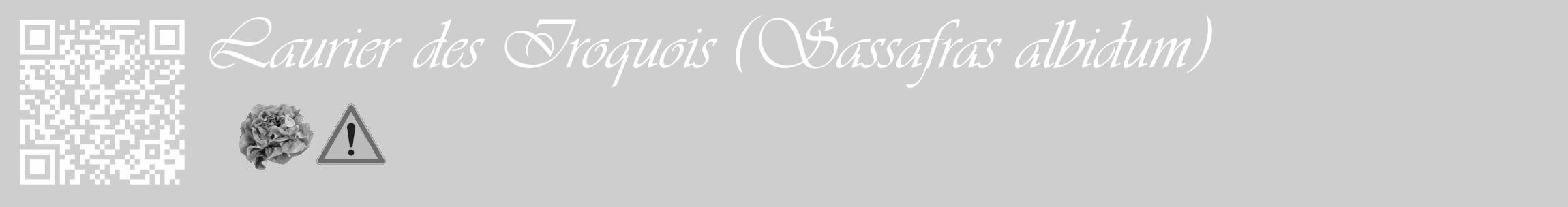 Étiquette de : Sassafras albidum - format c - style blanche17_basique_basiqueviv avec qrcode et comestibilité simplifiée