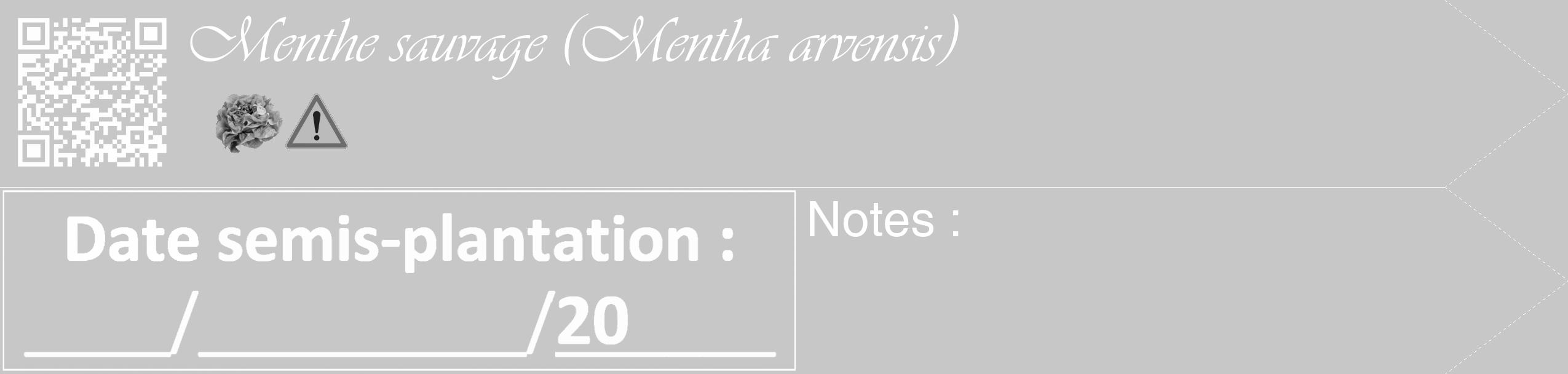 Étiquette de : Mentha arvensis - format c - style blanche15_simple_simpleviv avec qrcode et comestibilité simplifiée