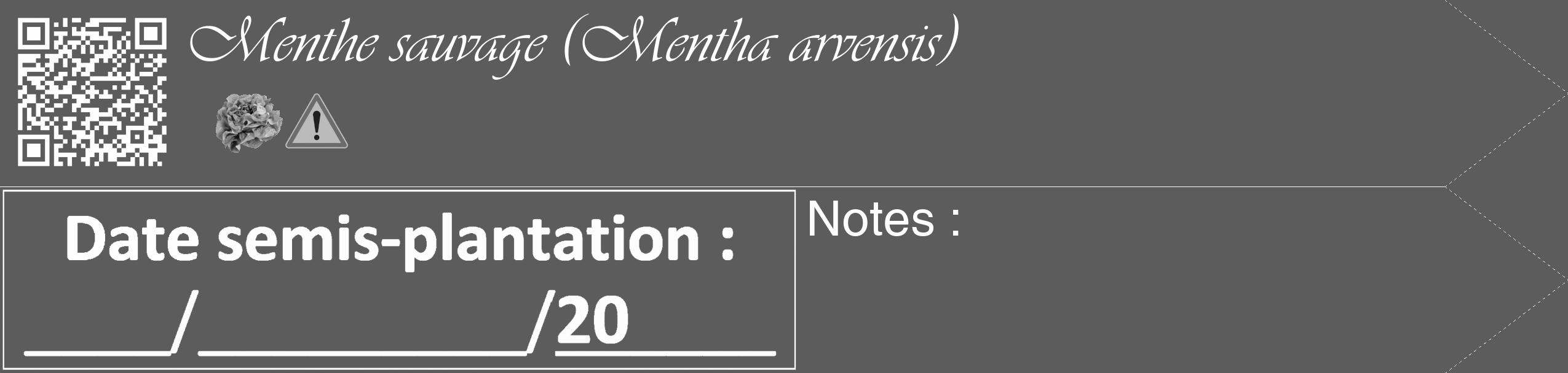 Étiquette de : Mentha arvensis - format c - style blanche49_simple_simpleviv avec qrcode et comestibilité simplifiée