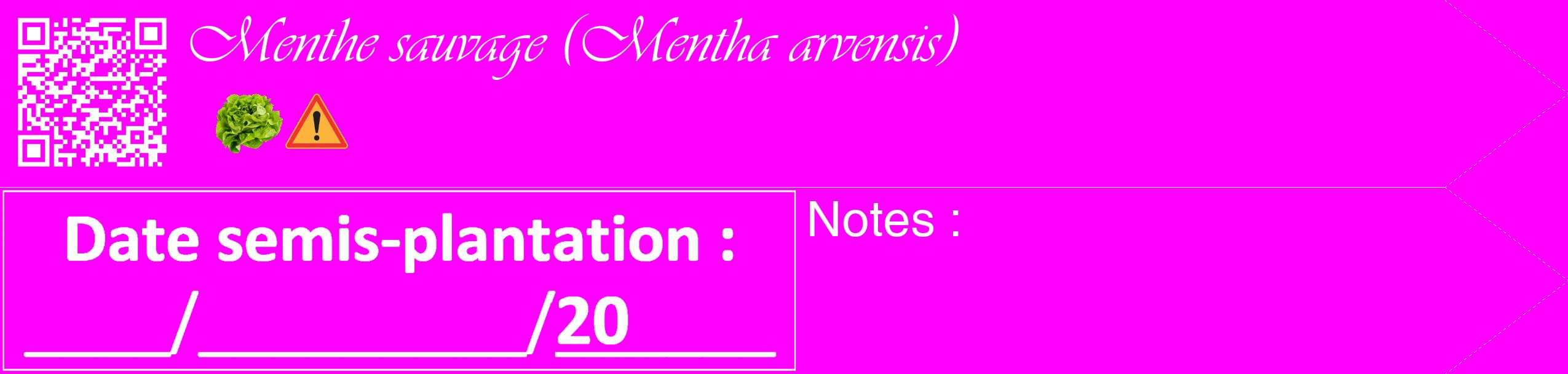 Étiquette de : Mentha arvensis - format c - style blanche51_simple_simpleviv avec qrcode et comestibilité simplifiée