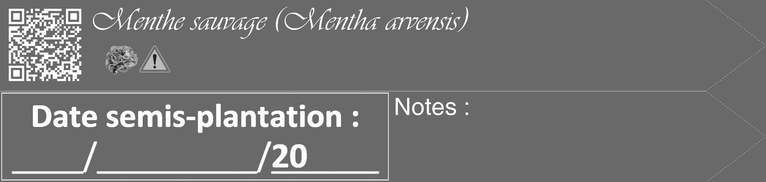 Étiquette de : Mentha arvensis - format c - style blanche51_simple_simpleviv avec qrcode et comestibilité simplifiée
