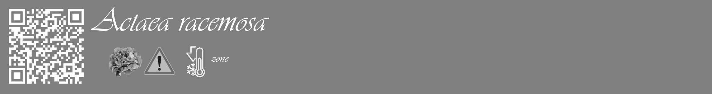 Étiquette de : Actaea racemosa - format c - style blanche31_basique_basiqueviv avec qrcode et comestibilité simplifiée