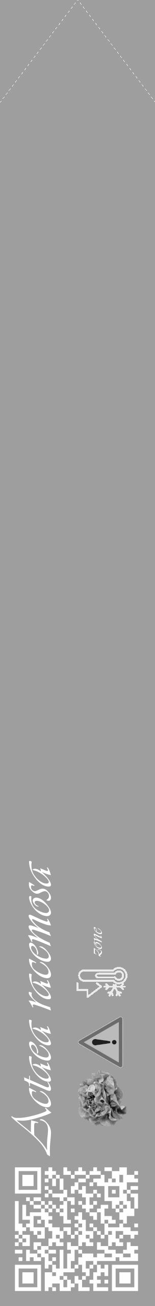 Étiquette de : Actaea racemosa - format c - style blanche42_simple_simpleviv avec qrcode et comestibilité simplifiée - position verticale
