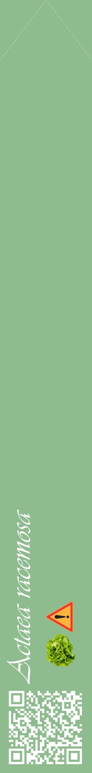 Étiquette de : Actaea racemosa - format c - style blanche13_simpleviv avec qrcode et comestibilité simplifiée