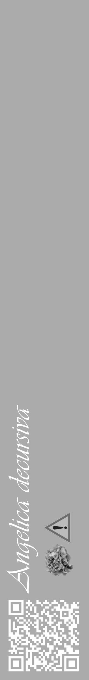 Étiquette de : Angelica decursiva - format c - style blanche37_basique_basiqueviv avec qrcode et comestibilité simplifiée - position verticale