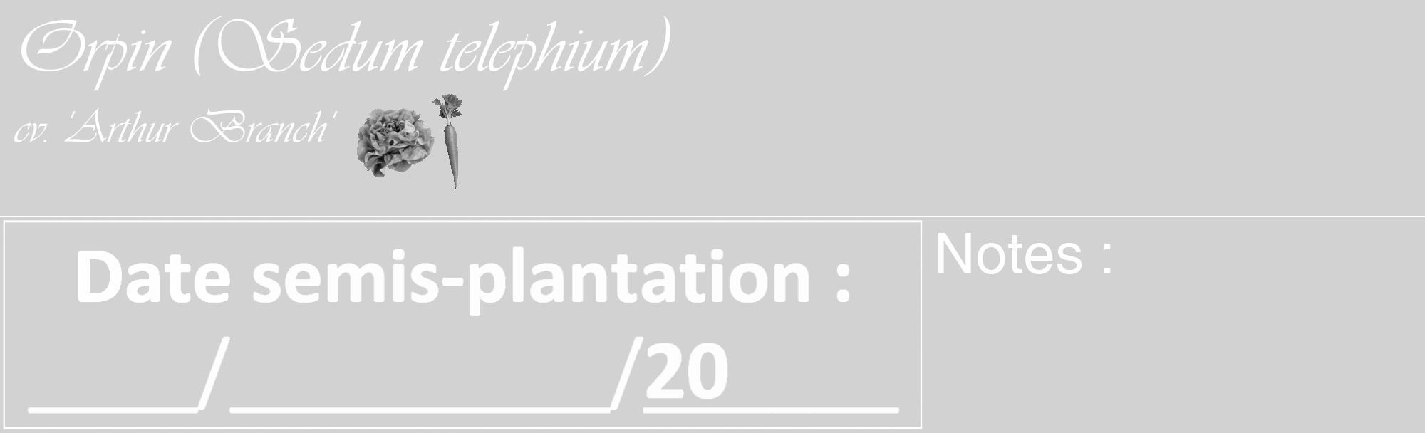 Étiquette de : Sedum telephium cv. 'Arthur Branch' - format c - style blanche14_basique_basiqueviv avec comestibilité simplifiée