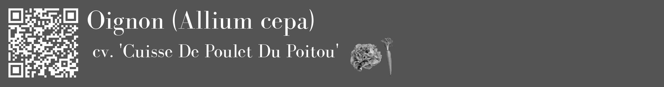 Étiquette de : Allium cepa cv. 'Cuisse De Poulet Du Poitou' - format c - style blanche30_basique_basiquebod avec qrcode et comestibilité simplifiée