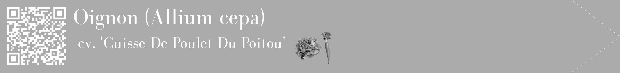 Étiquette de : Allium cepa cv. 'Cuisse De Poulet Du Poitou' - format c - style blanche37_simple_simplebod avec qrcode et comestibilité simplifiée