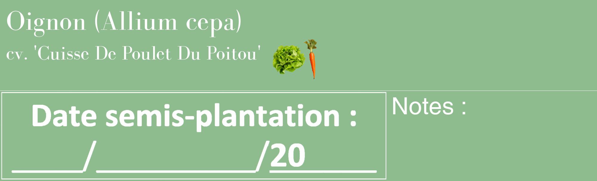 Étiquette de : Allium cepa cv. 'Cuisse De Poulet Du Poitou' - format c - style blanche13_basique_basiquebod avec comestibilité simplifiée