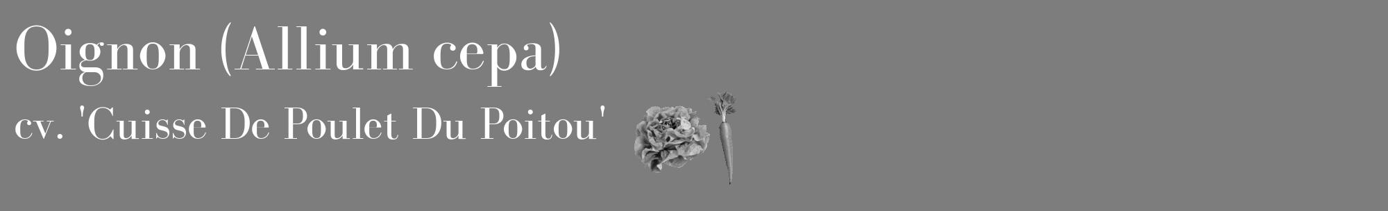 Étiquette de : Allium cepa cv. 'Cuisse De Poulet Du Poitou' - format c - style blanche35_basique_basiquebod avec comestibilité simplifiée