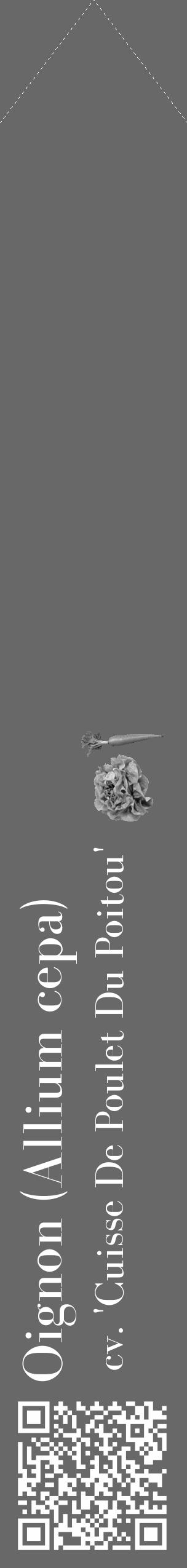 Étiquette de : Allium cepa cv. 'Cuisse De Poulet Du Poitou' - format c - style blanche6_simple_simplebod avec qrcode et comestibilité simplifiée - position verticale