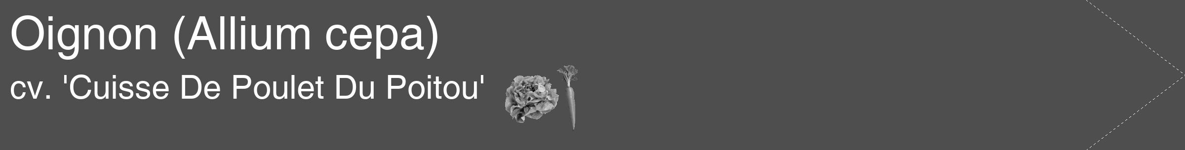 Étiquette de : Allium cepa cv. 'Cuisse De Poulet Du Poitou' - format c - style blanche33_simple_simplehel avec comestibilité simplifiée