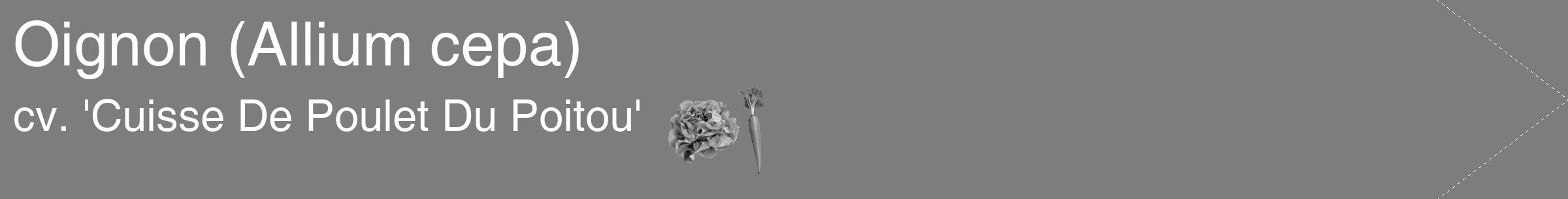 Étiquette de : Allium cepa cv. 'Cuisse De Poulet Du Poitou' - format c - style blanche35_simple_simplehel avec comestibilité simplifiée