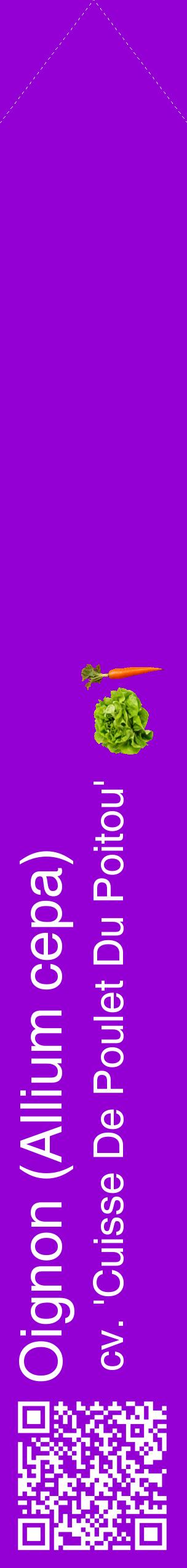 Étiquette de : Allium cepa cv. 'Cuisse De Poulet Du Poitou' - format c - style blanche48_simplehel avec qrcode et comestibilité simplifiée